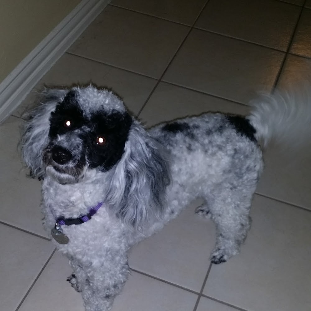 Meet your Posher, Adaora